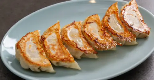 Hibachi at home menu – gyoza dumplings in Tennessee